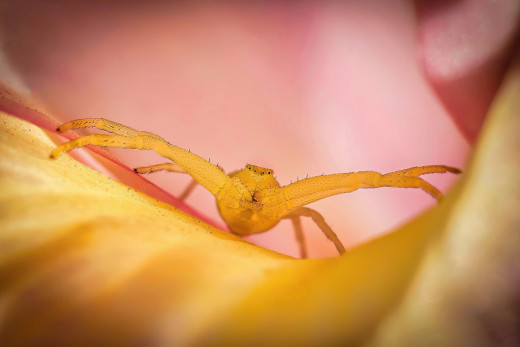 1756379 (a): :2000x1333